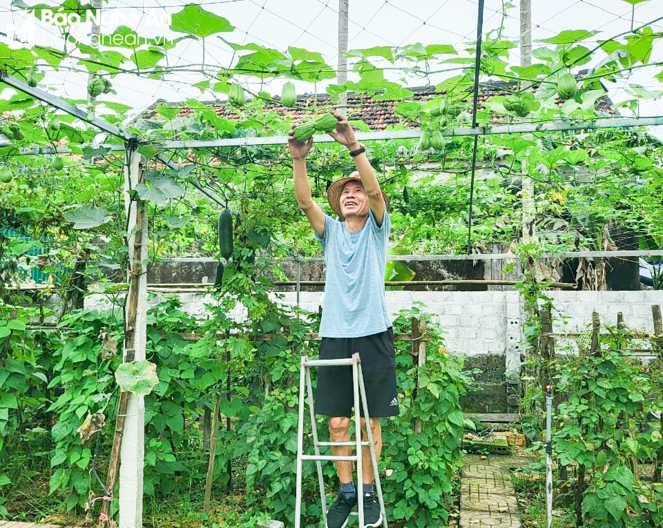 Nông thôn khởi sắc từ mô hình vườn mẫu  Nông thôn mới Phú Thọ